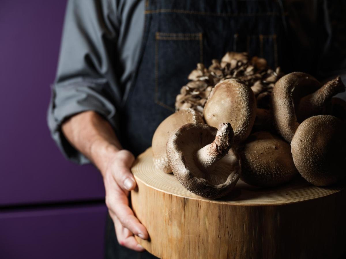 하얏트 센트릭 가나자와 호텔 외부 사진 Shiitake mushrooms